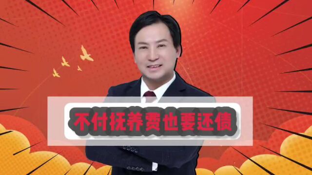 董哥债务:负债50万,被强制执行又无力还款,怎么办?