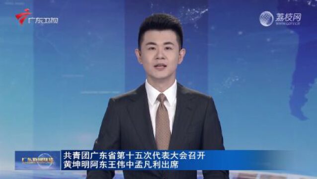 共青团广东省第十五次代表大会召开 黄坤明阿东王伟中孟凡利出席