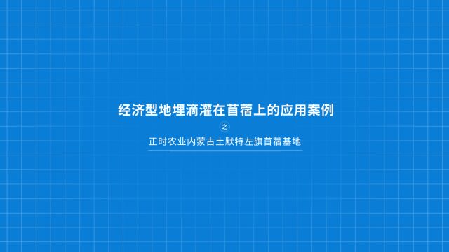 使用耐特菲姆地埋滴灌技术种植苜蓿,节水、省工又增产