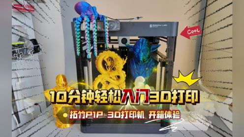 10分钟轻松入门3D打印：拓竹P1P 3D打印机 开箱体验！
