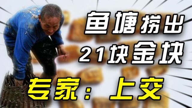 2007年农民在鱼塘捞出金块,专家鉴定后大吃一惊,连忙要求上交