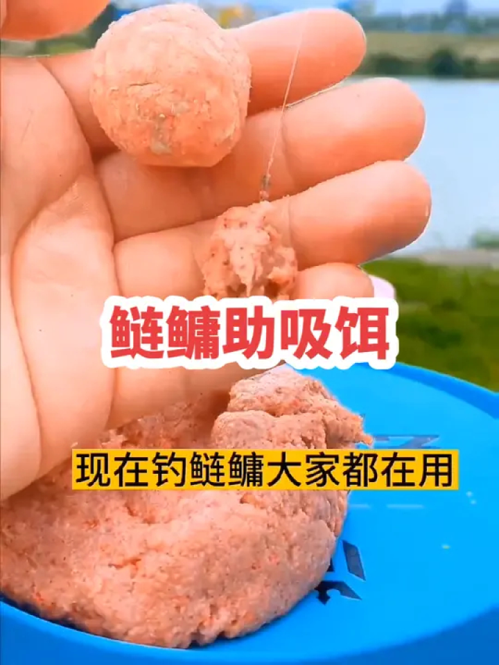 鲢鳙助吸饵，提高钓白鲢命中率，增大花鲢咬钩#浮钓鲢鳙#钓鱼人_高清1080P在线观看平台_腾讯视频