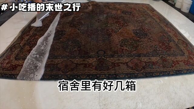 小吃播的末世之行