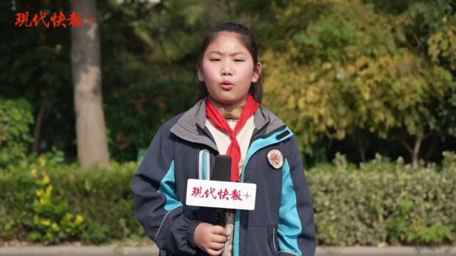 江苏中小学生书法大赛射阳专场:“足球小子”爱练书法