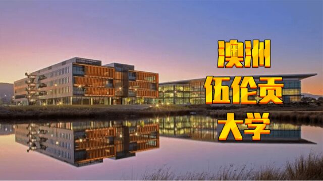 【澳洲留学】澳洲伍伦贡大学,世界185名,每年20万性价比高