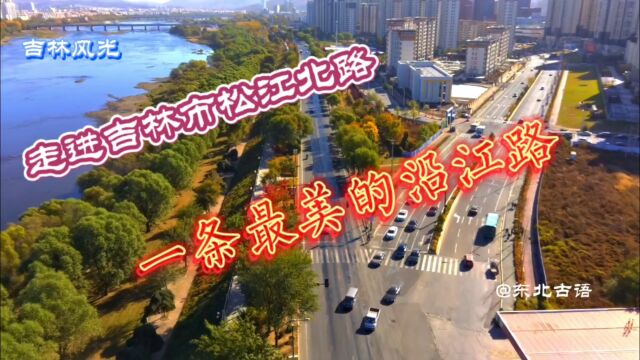 走进吉林市松江北路,一条最美的沿江路!带你一起去看看……