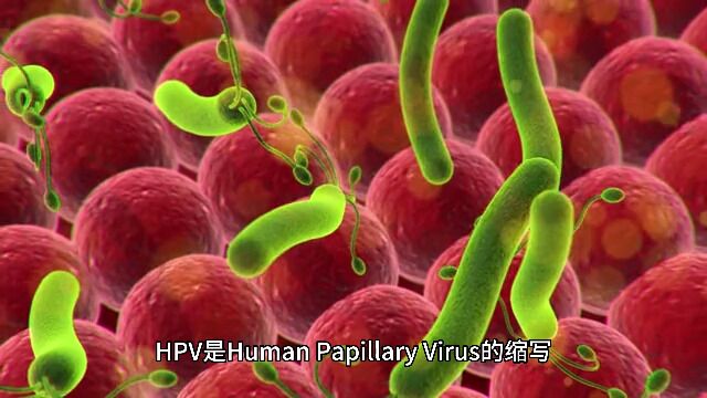 什么是HPV 沈阳皇姑国防医院