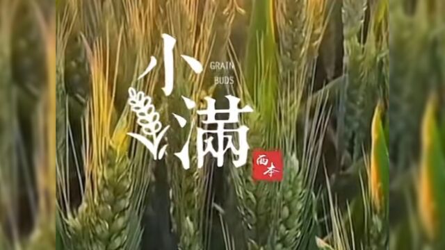 小满节气