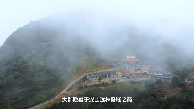 身居闹市而心神空明的古德寺