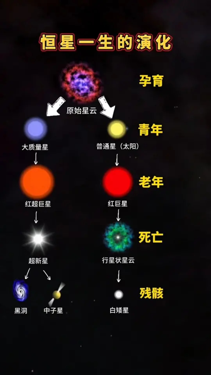 恒星一生中的不同形态变化#分享知识#恒星一生的演化_高清1080P在线观看平台_腾讯视频