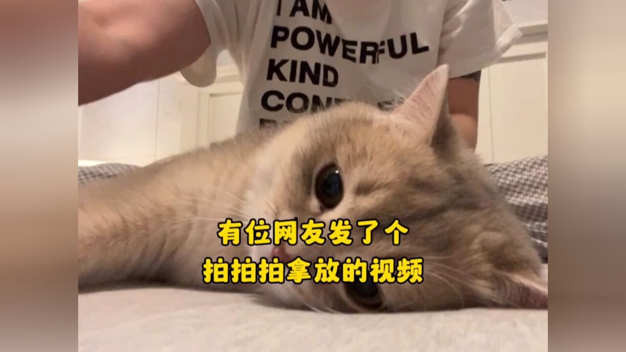 有位网友发了个拍拍拍拿放的视频_腾讯视频