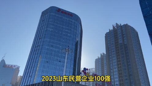 山东今年的民营企业100强公布，潍坊占据13席，可惜潍百集团落榜