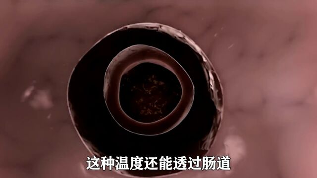 574. 古代没有纸之前擦屁屁的骚操作1