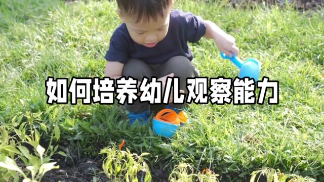 如何提升幼儿观察能力