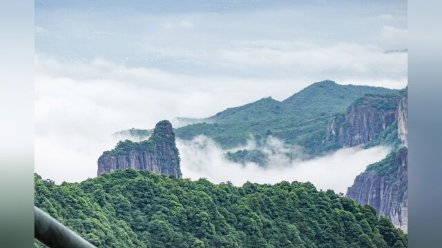 寻找风,这个夏日遁入神奇仙境,感受自然的声音