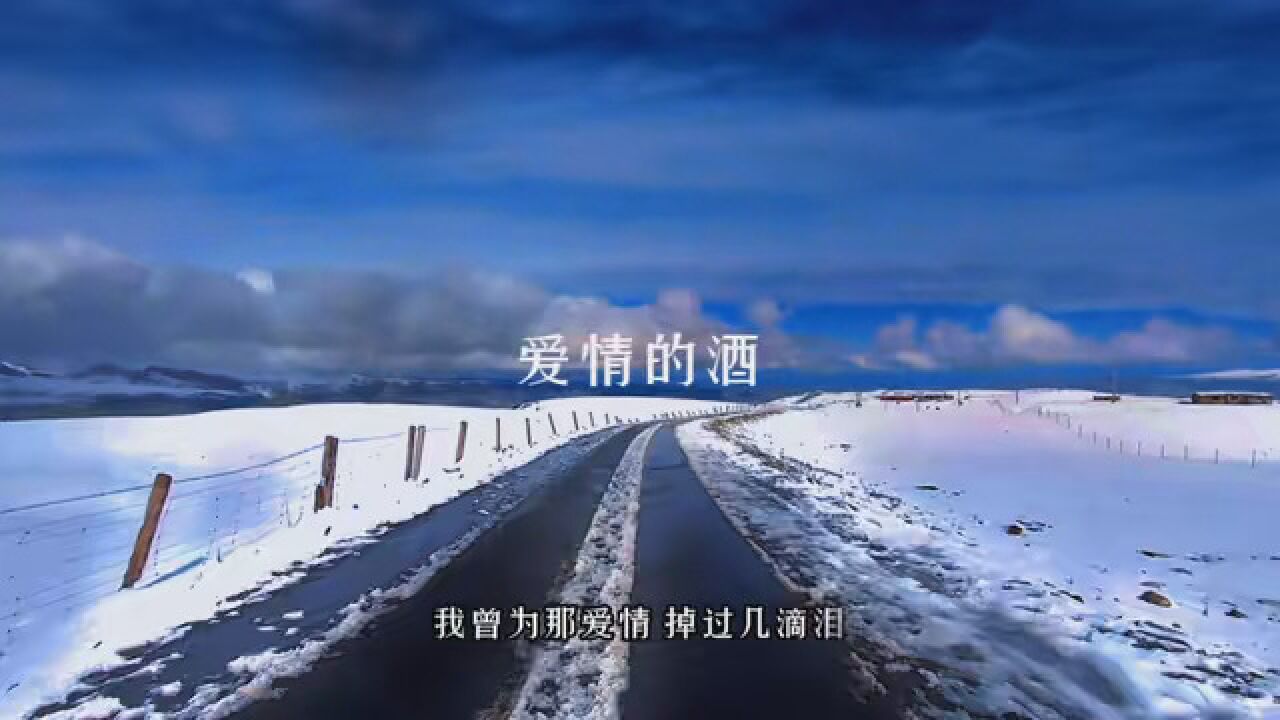 "干了这杯爱情的酒 再爱一回"