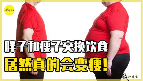 胖子和瘦子交换饮食,就可以变瘦吗?外国综艺节目告诉你真相_高清1080P在线观看平台_腾讯视频