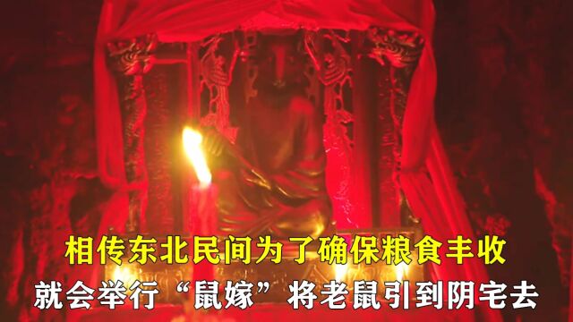 相传东北民间在收粮之前,都会举行“鼠嫁”将老鼠引到阴宅去!