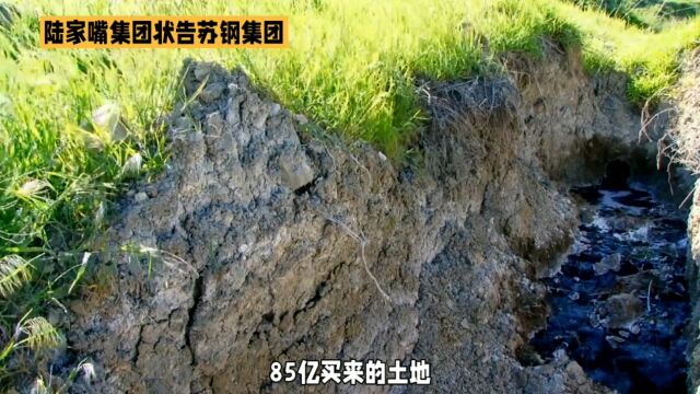 85亿购地成毒地 陆家嘴集团告苏钢集团