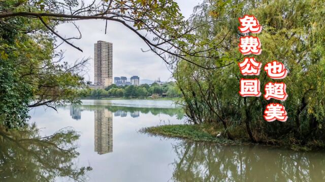 我这次没去收费景点,依然看了美景,广元市南河湿地公园(攻略)