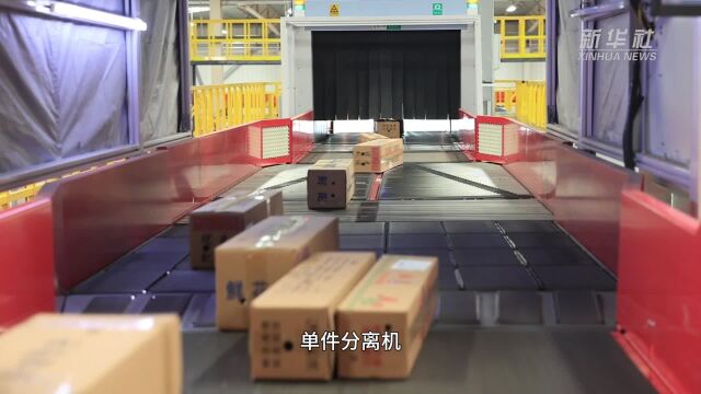 科技全自动化分拣 助力“云品出滇”