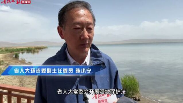 2023江河源环保世纪行:海西湿地保护卓有成效