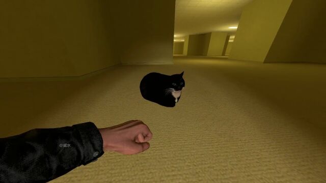 臭猫#每日臭猫 #gmod #精彩片段