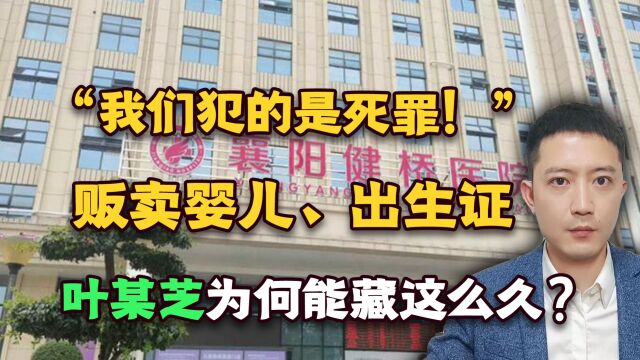 “我们犯的是死罪!”贩卖婴儿、出生证,叶某芝为何能藏这么久?