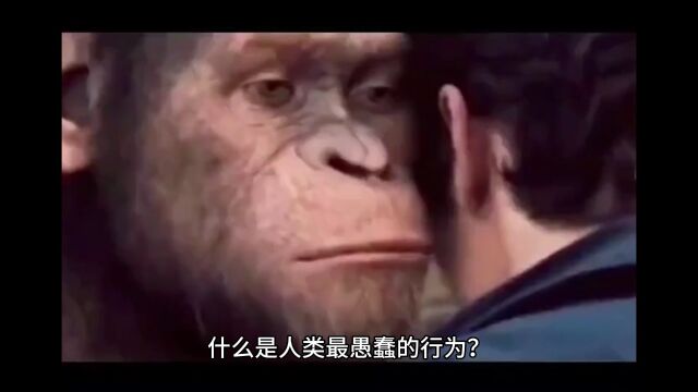 人类最愚蠢的行为