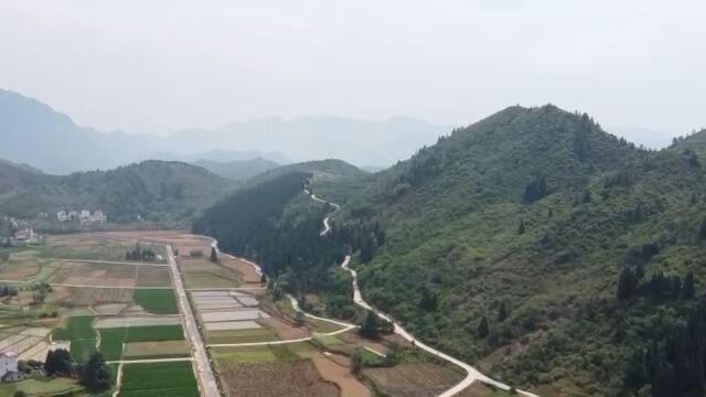 浙江常山:美丽乡村绘就乡村振兴新图景