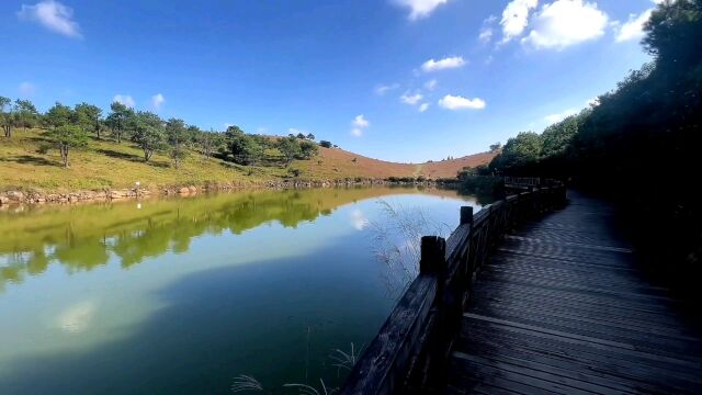 福州永泰县的青云山之巅,有着一个美丽而神奇的地方——天池草场