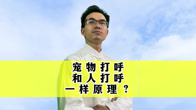 宠物打呼和人打呼怎么可能是一样原理?!