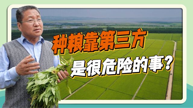 种粮靠第三方是件很危险的事?朱启臻:农民的土地农民种