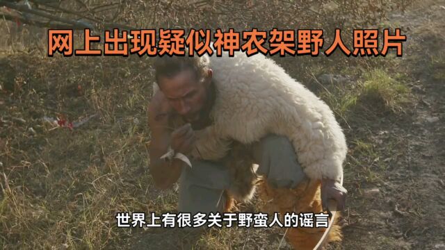 神农架野人之谜,野人图片被曝光(中科院曾进神农架寻找野人)