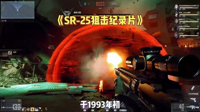 SR25狙击步枪挑战神器