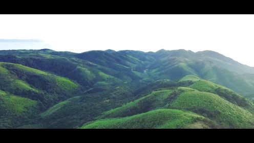 短视频 《绿水青山就是金山银山》