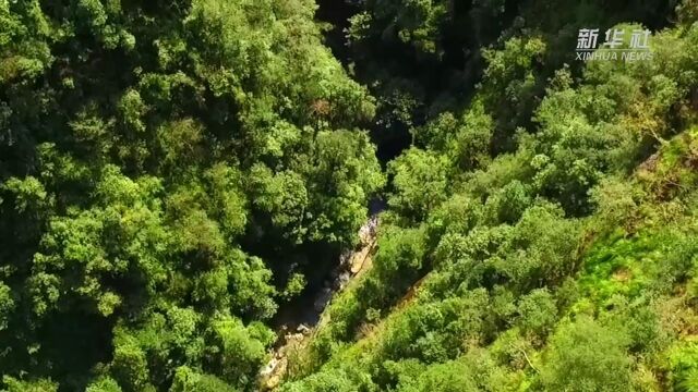 千城胜景|浙江武义:在牛头山感受江南山林风光