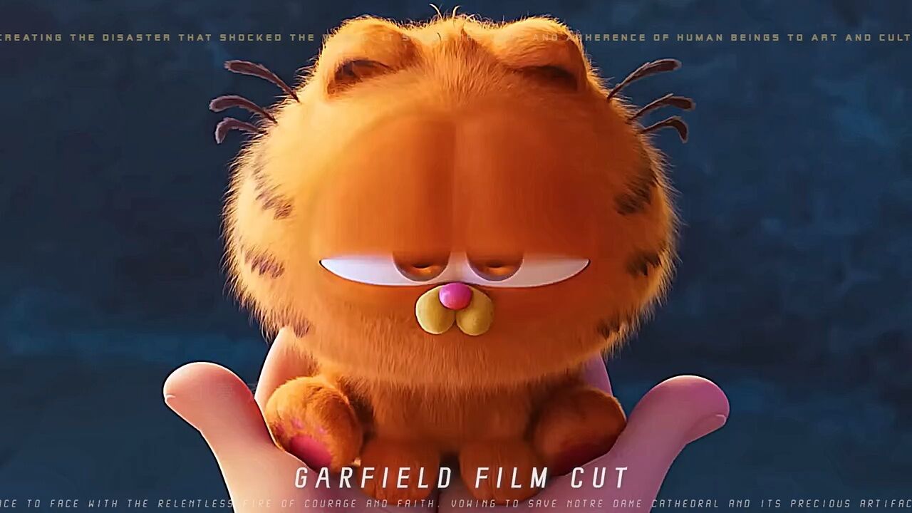 加菲猫02"电影0202"动画02 卧槽!