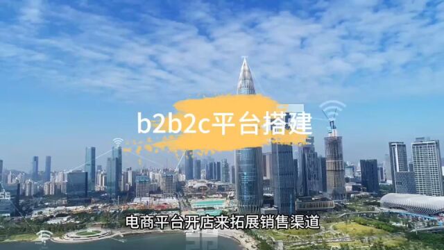 b2b2c平台搭建