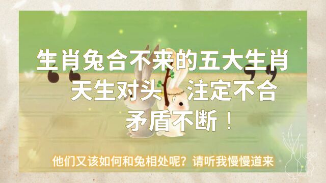 生肖兔合不来的五大生肖,天生对头,注定不合,矛盾不断!