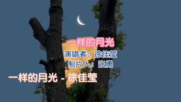 《一样的月光》演唱 徐佳莹 视频制作 张勇