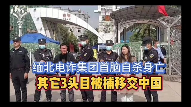 缅北电诈集团首脑自杀身亡,其它3头目被捕移交中国