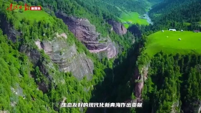 青海省扎实推进防沙治沙工作和“三北”工程建设纪实