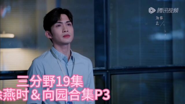 三分野19集 徐燕时&向园合集P3