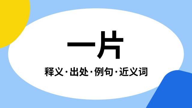 “一片”是什么意思?