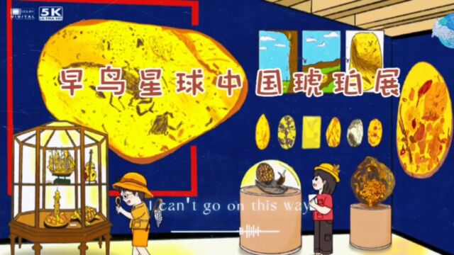 早鸟星球中国琥珀展