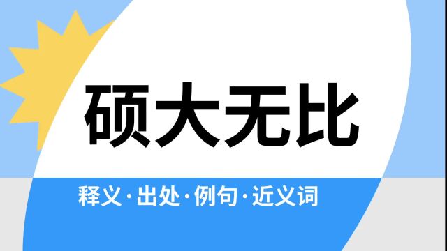 “硕大无比”是什么意思?