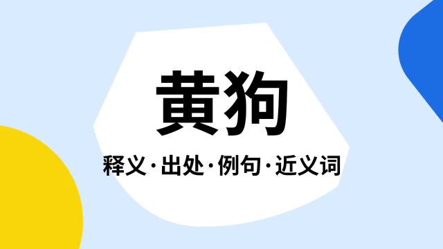 “黄狗”是什么意思?