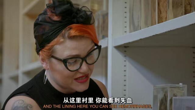 剖析大师:阿加莎ⷮŠ克里斯蒂 Inside The Mind Of Agatha Christie