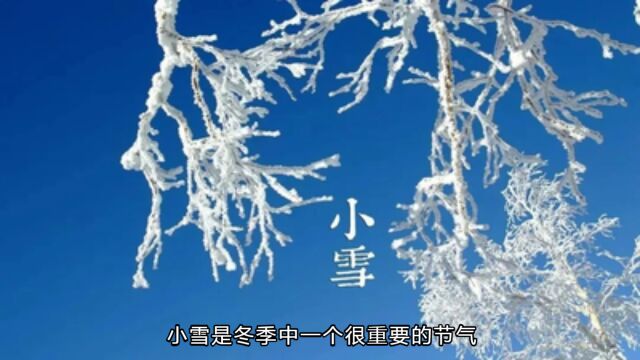 小雪时节如何养生